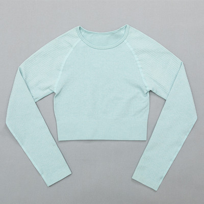 Naiste soonikuga õmblusteta joogakomplektid treeningkostüümid Crop rinnahoidja topid pikkade varrukatega särk Õmblusteta säärised spordikomplekt