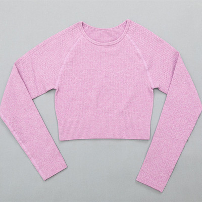 Naiste soonikuga õmblusteta joogakomplektid treeningkostüümid Crop rinnahoidja topid pikkade varrukatega särk Õmblusteta säärised spordikomplekt