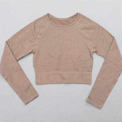 Naiste soonikuga õmblusteta joogakomplektid treeningkostüümid Crop rinnahoidja topid pikkade varrukatega särk Õmblusteta säärised spordikomplekt