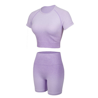 Αθλητικό κοστούμι 2 τεμαχίων χωρίς ραφές Σετ γιόγκα Γυναικείο Γυναικείο γυμναστήριο σύντομο γυμναστήριο Αθλητικό σορτς Γυναικείο σουτιέν Push Up