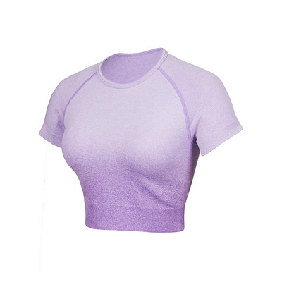 Αθλητικό κοστούμι 2 τεμαχίων χωρίς ραφές Σετ γιόγκα Γυναικείο Γυναικείο γυμναστήριο σύντομο γυμναστήριο Αθλητικό σορτς Γυναικείο σουτιέν Push Up