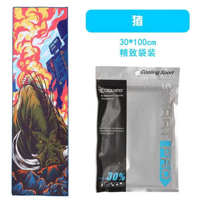 100x30CM Aušinamasis rankšluostis Mikropluošto plaukų rankšluostis Sporto salės rankšluosčiai Greitai Džiūva Paplūdimyje Sportas Kietas ledo audinys Laipiojimas Vyras Žygiai Plaukimas