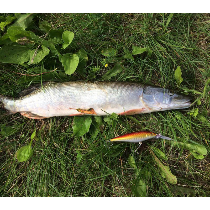 NAUJAS 11 cm 10,5 g kietas masalas Minnow Streak žvejybos masalai Bass Fresh Water Hook Nardymo ešeriai Vobleris Jerkbait