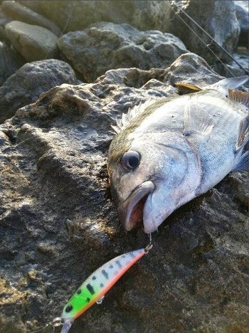 Slowly Sinking Minnow Fishing Lure 65mm 4g Artificial Japan Hard Bait Bass Pike Wobblers Crankbait Carp Fishing