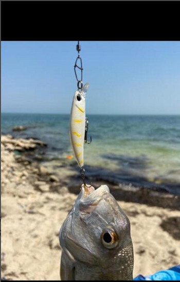 Бавно потъваща риболовна примамка Minnow 65 mm 4 g Изкуствена Японска твърда стръв Бас Щука Воблери Crankbait Риболов на шаран