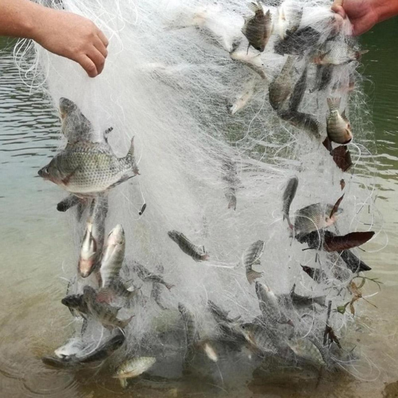 1db horgászháló 1 rétegű monofil horgászháló egy hálós háló kültéri felszerelés tartós nylon háló hálós csapda hálós Fishin S9I3