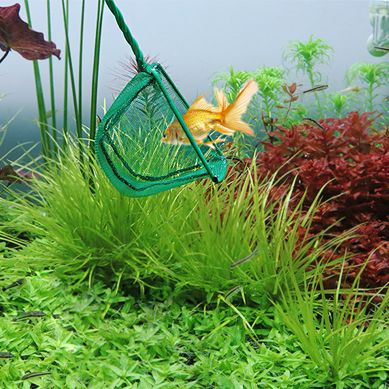 Nešiojami žuvų tinklai, ilgos rankenos kvadratiniai akvariumo priedai žuvų rezervuarų iškrovimo tinklas Žvejybos tinklas lauke Krabų gaudyklės žvejybos įrankiai