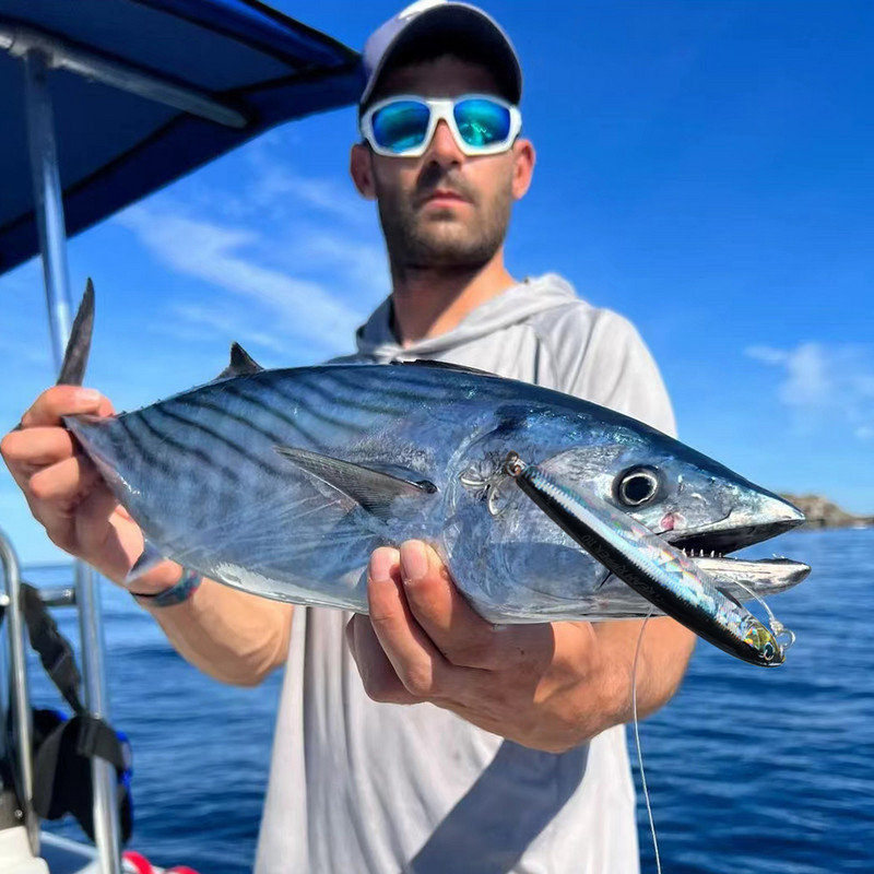 Uppuv pliiatsisööt 10g 14g 18g 24g vobler trolling karpkala popper haugi ujumispiik Long Cast Minnow Pesca Tackle merepüügi peibutis