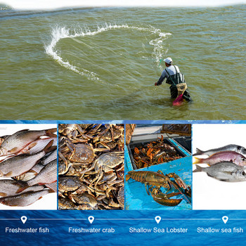 Многоразмерна риболовна мрежа Капан Мрежа Монофиламентна хрилна мрежа Мрежа за морска риба NetTackle Дизайн Риболовни принадлежности Катана хрилна хранилка Риболов