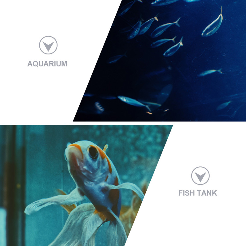 Plasa de aterizare telescopică pentru pește Plasă portabilă de eliberare a capturii Plasă de pescuit plutitoare Plasă de pescuit din bumbac Materiale de pescuit