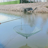 Plasa de pescuit pentru creveti, portabila pliabila, crab, plasa pentru creveti, cusca de pescuit, iaz, plasa pliabila, accesorii de pescuit