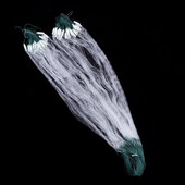 Võrgud Kalavõrk lõks Monofilament Suur võrklõks Võrk Võrk püünislõks