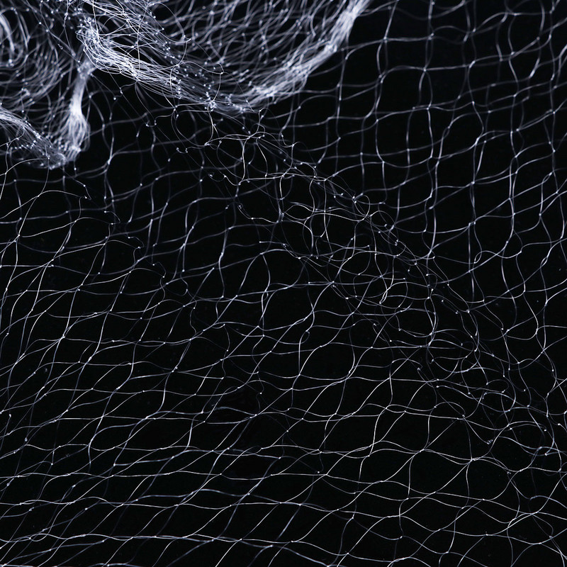 Võrgud Kalavõrk lõks Monofilament Suur võrklõks Võrk Võrk püünislõks