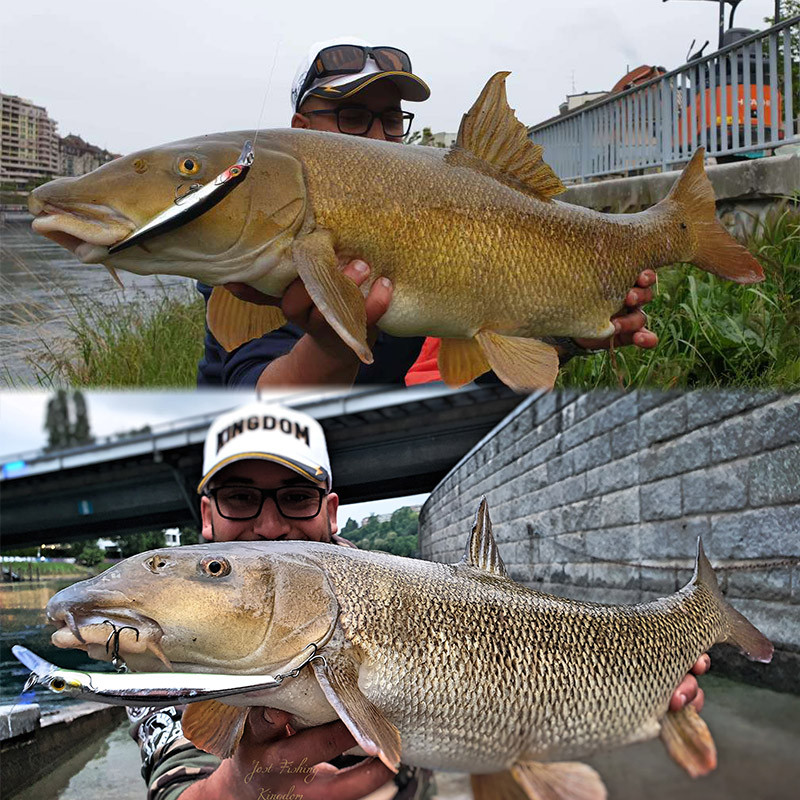 Kingdom Sinking Minnow Naluci de pescuit în apă sărată Crankbait Momeli dure Wobblers de acțiune bună Nalucă pentru păstrăv artificial pentru biban de mare