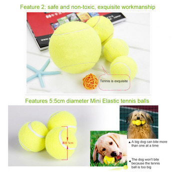 Упражнение Тенис топка Преносима интерактивна универсална безопасна играчка за дъвчене Играчки за дъвчене Забавна играчка за кучета Сладък стартер Цветни консумативи за домашни любимци