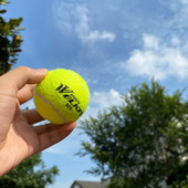 Σκύλος κατοικίδιων ζώων Κουτάβι μπάλα τένις WELKIN Νέα 63 χιλιοστά Thrower Chucker Launcher Παίξτε παιχνίδια προμήθειες για υπαίθρια αθλήματα με σχέδιο από καουτσούκ για κατοικίδια