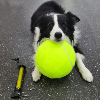 9,5-инчова топка за тенис на кучета Спорт на открито Тренировъчна топка за дъвчене на кучета с помпа за надуване Забавни гигантски играчки за домашни любимци Играчка за крикет на открито