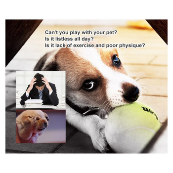 Стартер за домашни любимци Издръжлива безопасна тенис топка Играчки за дъвчене Сладко забавление Популярни интерактивни играчки за кучета Играчка за дъвчене Упражнение Преносим