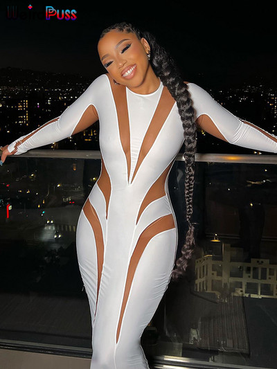 Weird Puss Mesh Patchwork Γυναικείο Φόρεμα 2023 Νέο Φθινοπωρινό, κομψό, μακρυμάνικο, μακρύ κορμάκι με λαιμόκοψη, κοκαλιάρικο Stretch Clubwear Vestidos