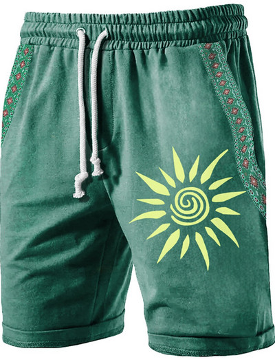 Muške hlače za plažu s prugastim 3D printanim kratkim hlačama Muške ljetne prozračne kratke hlače za fitness Street Shorts muške Ropa Hombre