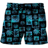 3D Print Pludmales šorti Vīriešu vasaras brīvi sērfošanas dēļa šorti Ātri nožūst S-6XL Skriešanas čemodāni Peldkostīms Liela izmēra īss peldkostīms Vīrietis