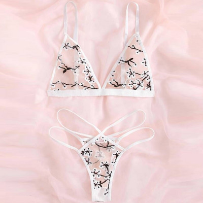 Seksualus jausmingas apatinis trikotažas moterims Puošnus nėrinių komplektas Moteris 2 dalių permatomas apatinis siuvinėjimas Erotinė liemenėlė ir kelnaitės S-XXL