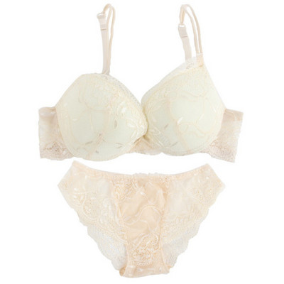 Push up grudnjak Čipkasti grudnjak i komplet gaćica Žensko donje rublje s dubokim V vezom Žensko donje rublje Intimno donje rublje za djevojke Hot rasprodaja