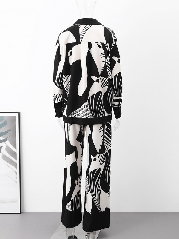 Naiste vabaajaprinteriga särk, 2-osaline komplekt Elegantne lahtised pikkade varrukatega särgid, laia säärega püksid, naiste ülikond 2023. aasta suvemoodne daamiriietus