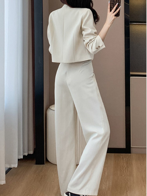 Uus kevadine naiste bleiser, kaheosaline komplekt kontoris Slim Crop jakid laia säärega püksid, naiste komplektid, stiilsed püksid, ülikond, riided