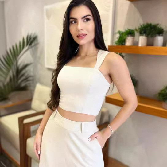 Divdaļīgi komplekti Sieviešu svārku komplekts Sling, īsi topi Bez piedurknēm, vienkrāsaini, šauri, gari svārki, ikdienišķs ar augstu vidukli 2024. gada pavasarī