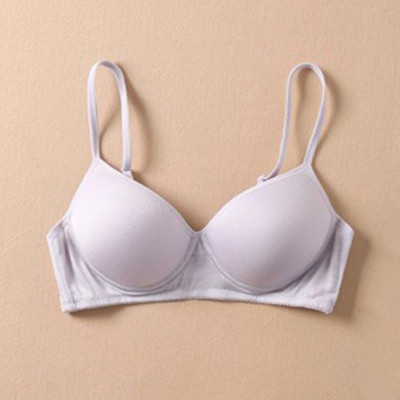 100% puhtast siidist rinnahoidjad Naiste moepesu, hingav õmblusteta Everyday Soft juhtmevaba polsterdatud rinnahoidjad naistele push up