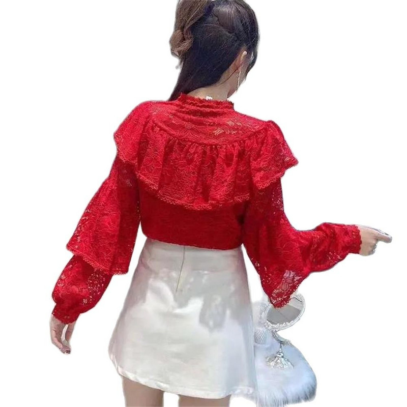 Õõnestatud pitsist volangpluus naistele, vintage särk, elegantsed topid, pikkade varrukatega latern, seksikas sügis 2024