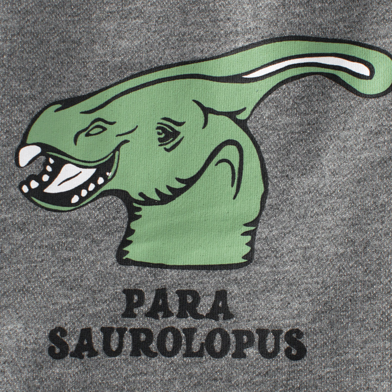 Ljeto 2024. Nove dječje kratke hlače s printom crtića dinosaura Kratke hlače za dječake Kratke hlače za plažu s elastičnim strukom Dječja odjeća