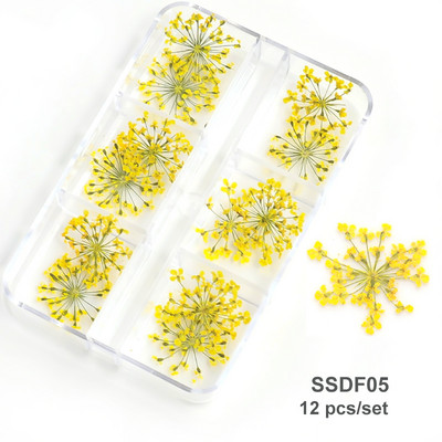 12/18 buc/cutie Flori uscate 3D Decoratiuni pentru arta unghiilor Autocolante florale uscate Brelocuri pentru manichiura DIY Modele pentru accesorii pentru unghii