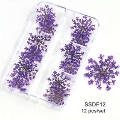 12/18 buc/cutie Flori uscate 3D Decoratiuni pentru arta unghiilor Autocolante florale uscate Brelocuri pentru manichiura DIY Modele pentru accesorii pentru unghii
