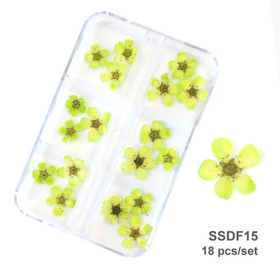 12/18 buc/cutie Flori uscate 3D Decoratiuni pentru arta unghiilor Autocolante florale uscate Brelocuri pentru manichiura DIY Modele pentru accesorii pentru unghii