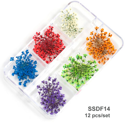 12/18 buc/cutie Flori uscate 3D Decoratiuni pentru arta unghiilor Autocolante florale uscate Brelocuri pentru manichiura DIY Modele pentru accesorii pentru unghii