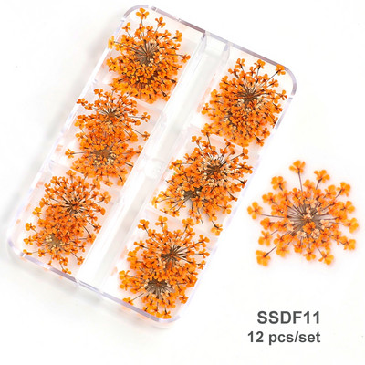 12/18 buc/cutie Flori uscate 3D Decoratiuni pentru arta unghiilor Autocolante florale uscate Brelocuri pentru manichiura DIY Modele pentru accesorii pentru unghii