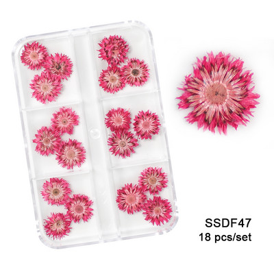 12/18 buc/cutie Flori uscate 3D Decoratiuni pentru arta unghiilor Autocolante florale uscate Brelocuri pentru manichiura DIY Modele pentru accesorii pentru unghii