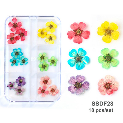 12/18 buc/cutie Flori uscate 3D Decoratiuni pentru arta unghiilor Autocolante florale uscate Brelocuri pentru manichiura DIY Modele pentru accesorii pentru unghii