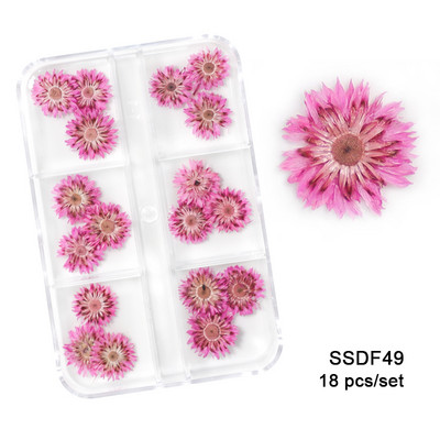 12/18 buc/cutie Flori uscate 3D Decoratiuni pentru arta unghiilor Autocolante florale uscate Brelocuri pentru manichiura DIY Modele pentru accesorii pentru unghii