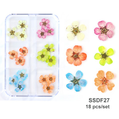 12/18 buc/cutie Flori uscate 3D Decoratiuni pentru arta unghiilor Autocolante florale uscate Brelocuri pentru manichiura DIY Modele pentru accesorii pentru unghii