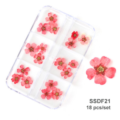 12/18 buc/cutie Flori uscate 3D Decoratiuni pentru arta unghiilor Autocolante florale uscate Brelocuri pentru manichiura DIY Modele pentru accesorii pentru unghii