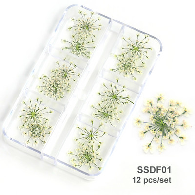 12/18 buc/cutie Flori uscate 3D Decoratiuni pentru arta unghiilor Autocolante florale uscate Brelocuri pentru manichiura DIY Modele pentru accesorii pentru unghii