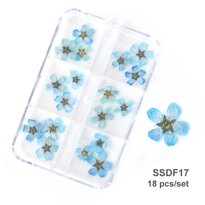 12/18 buc/cutie Flori uscate 3D Decoratiuni pentru arta unghiilor Autocolante florale uscate Brelocuri pentru manichiura DIY Modele pentru accesorii pentru unghii