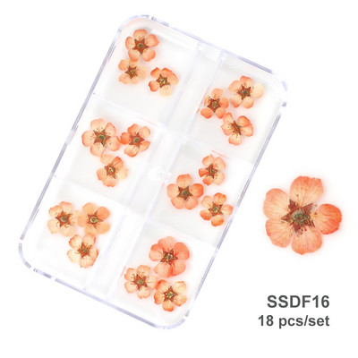 12/18 buc/cutie Flori uscate 3D Decoratiuni pentru arta unghiilor Autocolante florale uscate Brelocuri pentru manichiura DIY Modele pentru accesorii pentru unghii