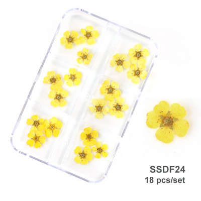 12/18 buc/cutie Flori uscate 3D Decoratiuni pentru arta unghiilor Autocolante florale uscate Brelocuri pentru manichiura DIY Modele pentru accesorii pentru unghii