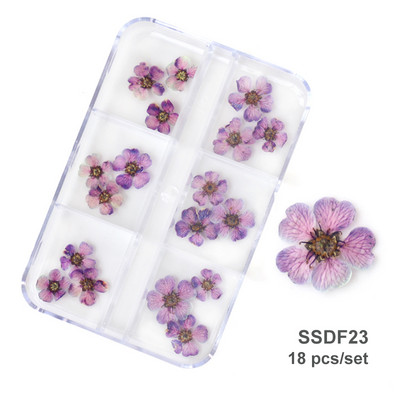 12/18 buc/cutie Flori uscate 3D Decoratiuni pentru arta unghiilor Autocolante florale uscate Brelocuri pentru manichiura DIY Modele pentru accesorii pentru unghii