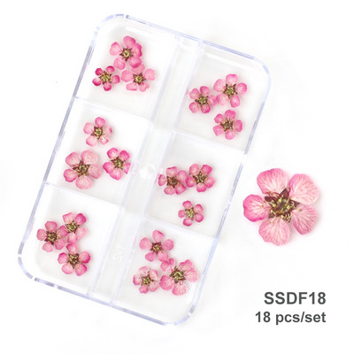 12/18 buc/cutie Flori uscate 3D Decoratiuni pentru arta unghiilor Autocolante florale uscate Brelocuri pentru manichiura DIY Modele pentru accesorii pentru unghii