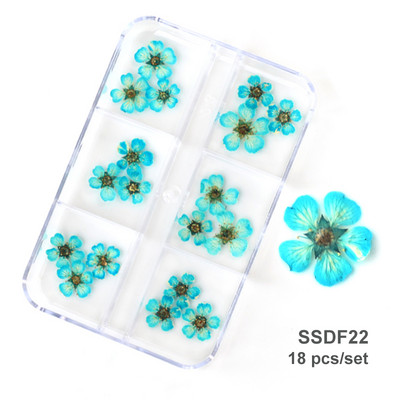 12/18 buc/cutie Flori uscate 3D Decoratiuni pentru arta unghiilor Autocolante florale uscate Brelocuri pentru manichiura DIY Modele pentru accesorii pentru unghii